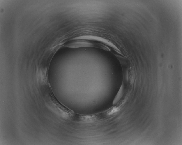 X0000074240239200608251146