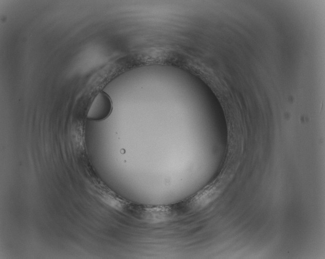 X0000074240240200608251146