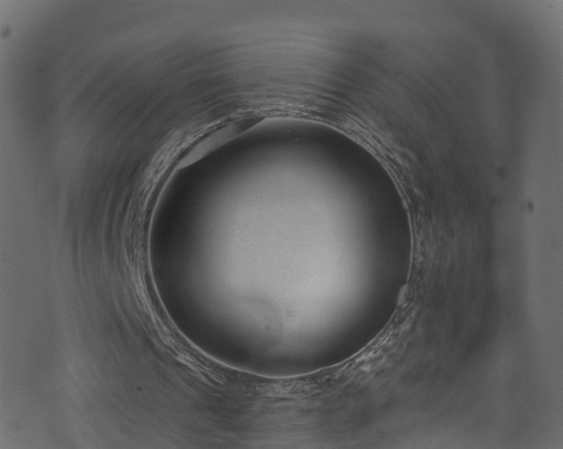 X0000074240241200608251145