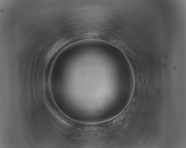 X0000074240242200608251145