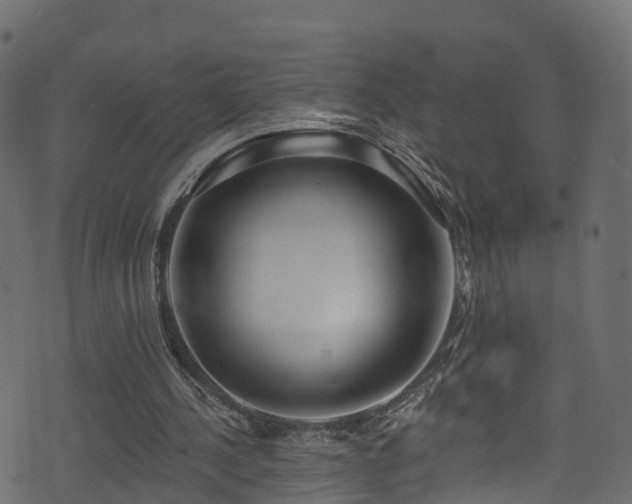 X0000074240244200608251145