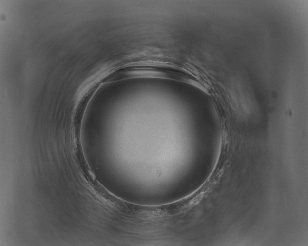 X0000074240245200608251145