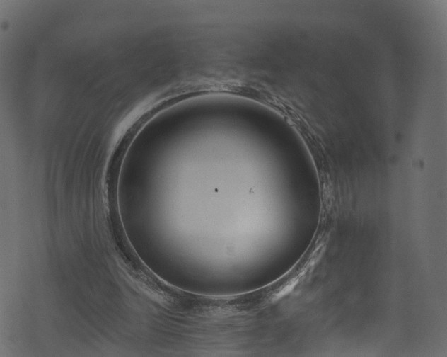 X0000074240246200608251145