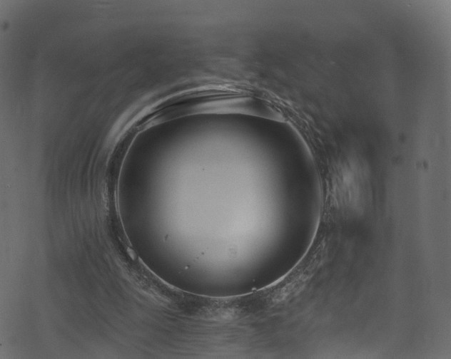 X0000074240247200608251145