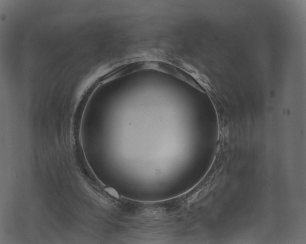 X0000074240248200608251145