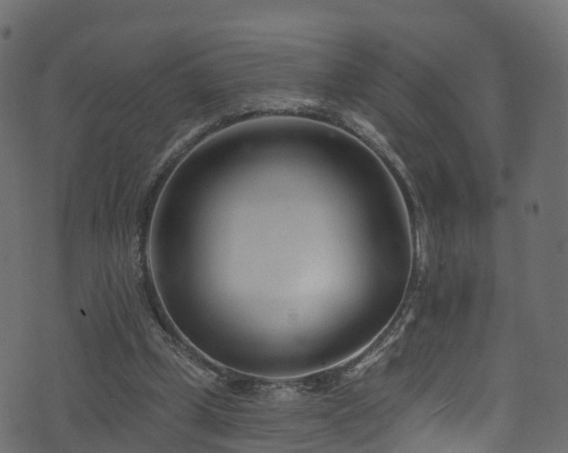 X0000074240249200608251146