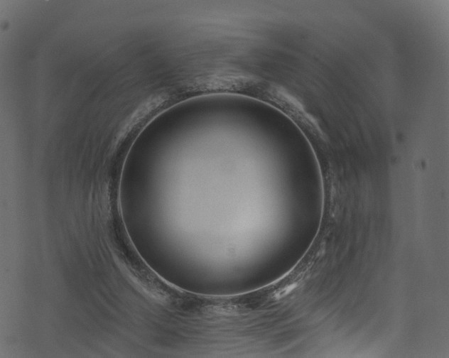 X0000074240250200608251146