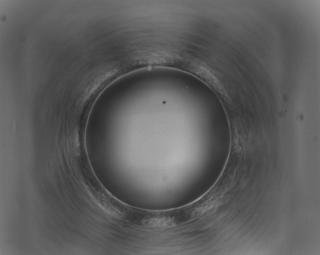 X0000074240251200608251146