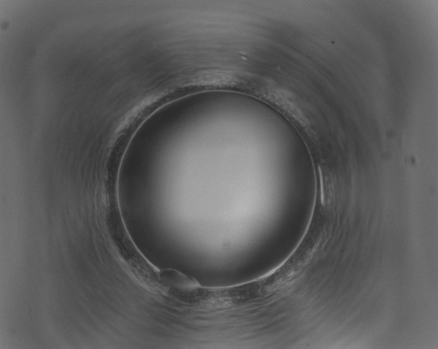 X0000074240252200608251146