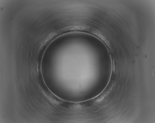 X0000074240253200608251146