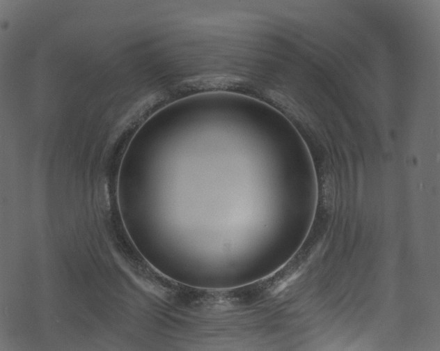 X0000074240254200608251146