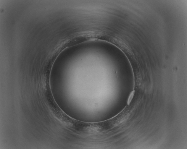 X0000074240255200608251146