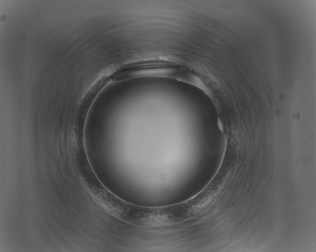 X0000074240256200608251146