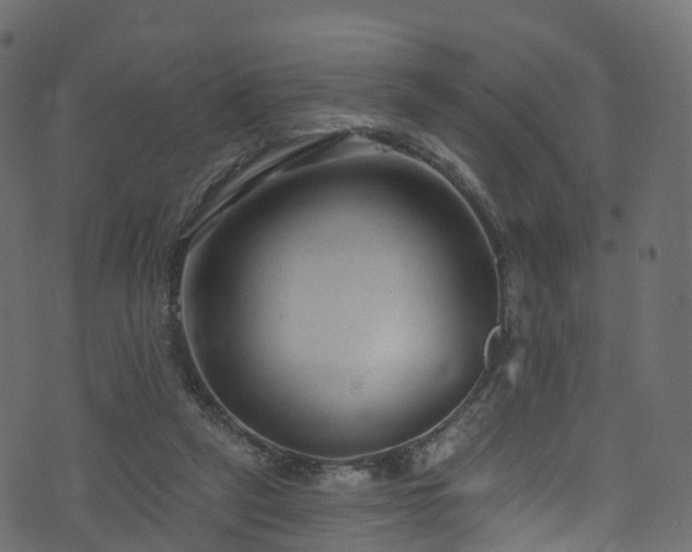 X0000074240257200608251146