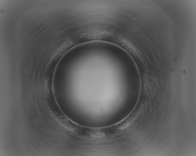 X0000074240258200608251146