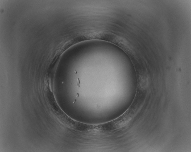 X0000074240259200608251146