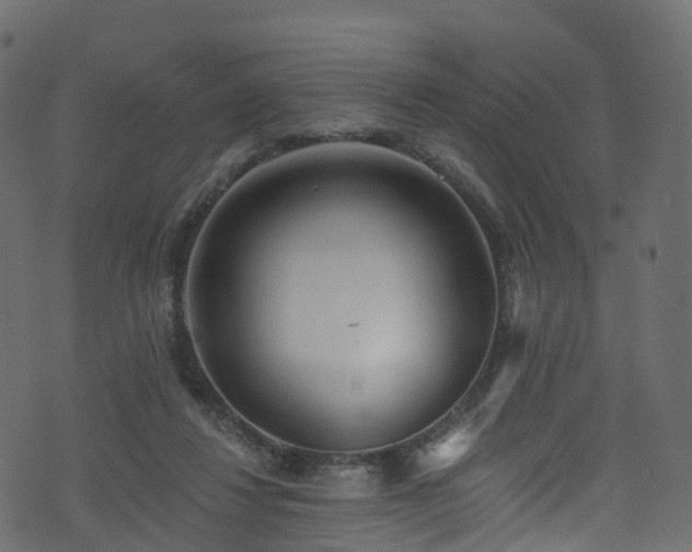 X0000074240260200608251146