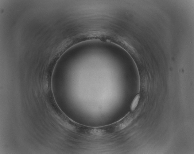 X0000074240261200608251146