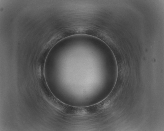 X0000074240262200608251146