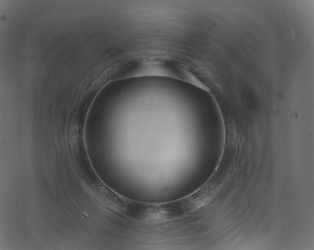 X0000074240263200608251146