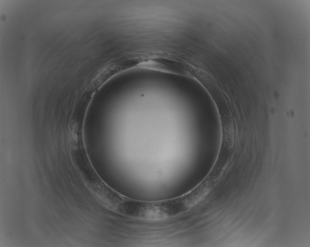 X0000074240264200608251146