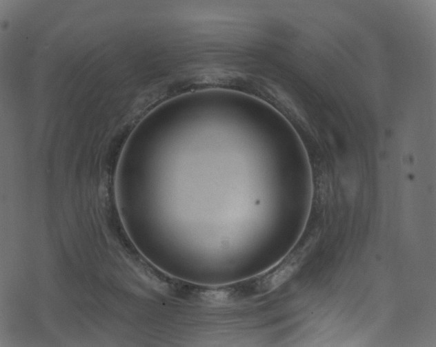 X0000074240265200608251146