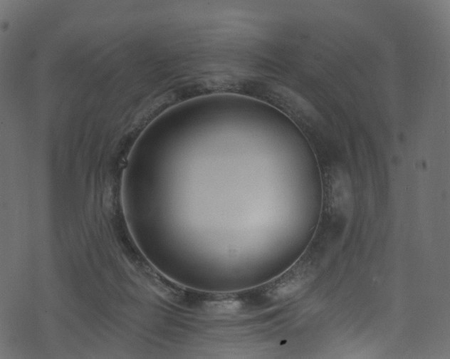 X0000074240266200608251146