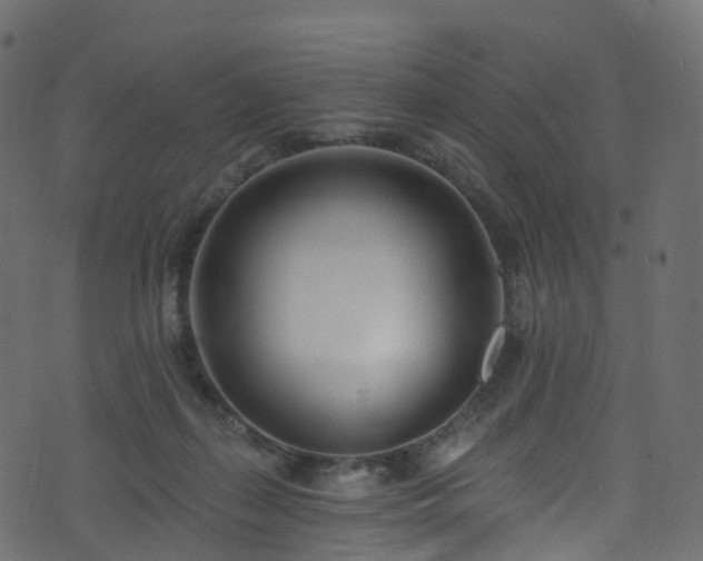 X0000074240267200608251146