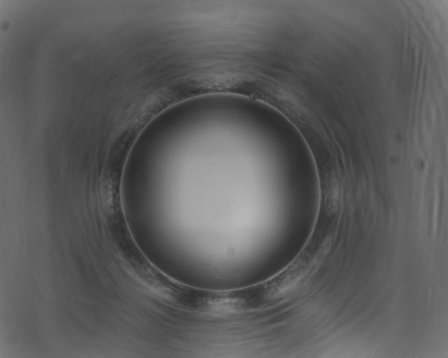 X0000074240268200608251146