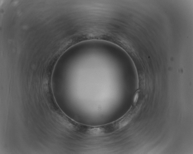 X0000074240269200608251146