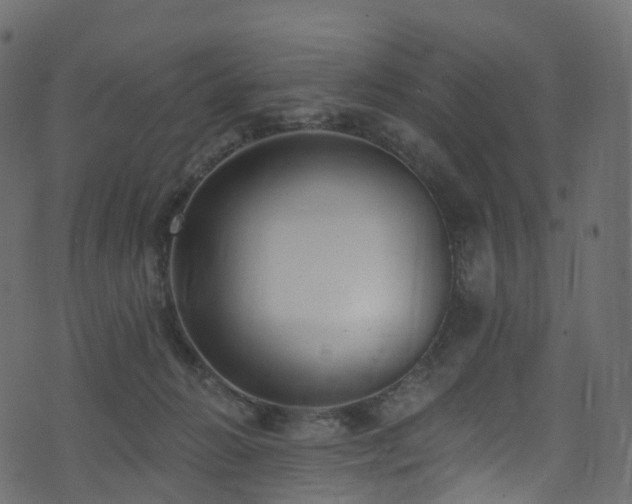 X0000074240270200608251146