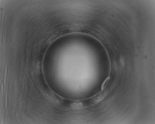 X0000074240271200608251146