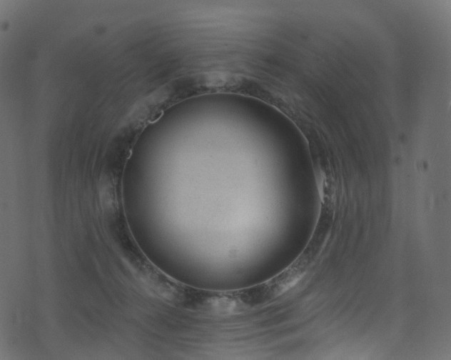 X0000074240272200608251146