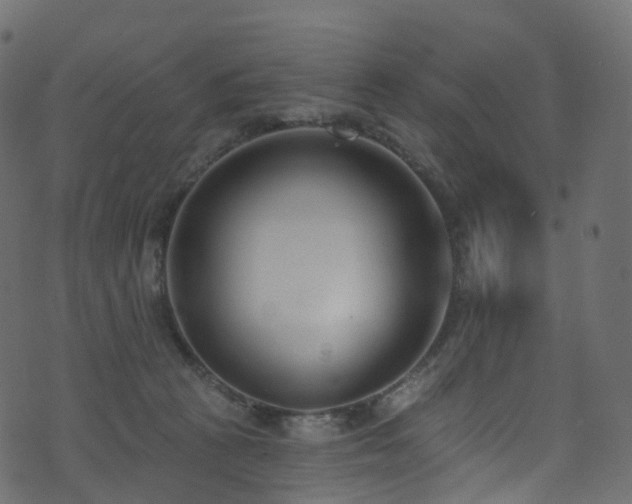 X0000074240273200608251146