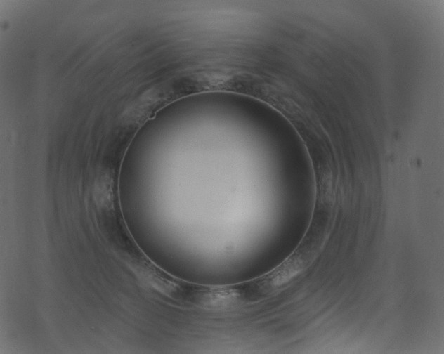 X0000074240274200608251146