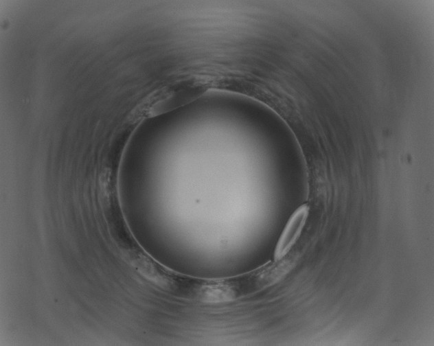 X0000074240275200608251146