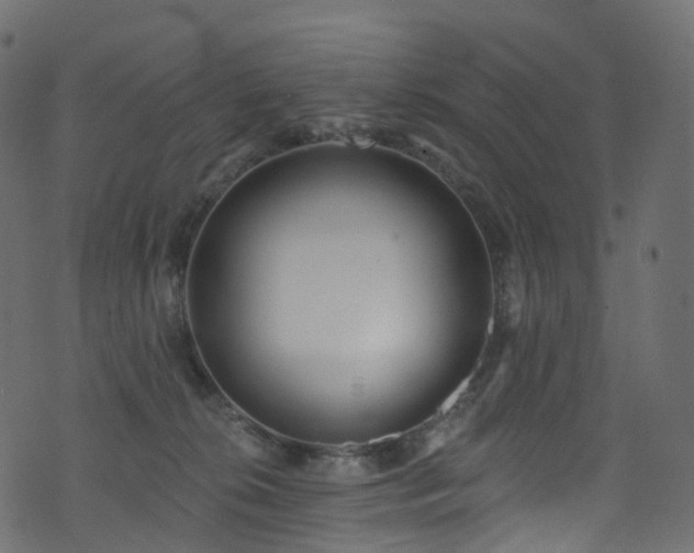 X0000074240276200608251146