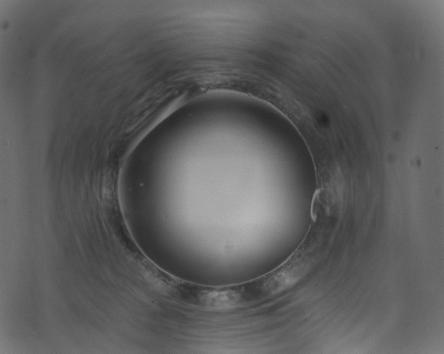 X0000074240277200608251146