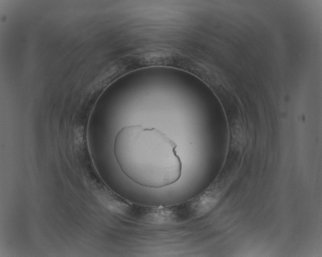 X0000074240278200608251146