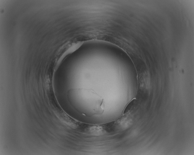 X0000074240279200608251146