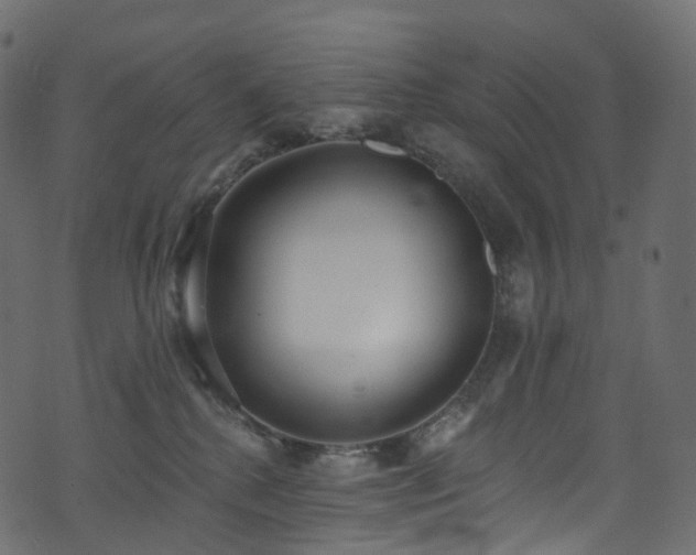 X0000074240280200608251146