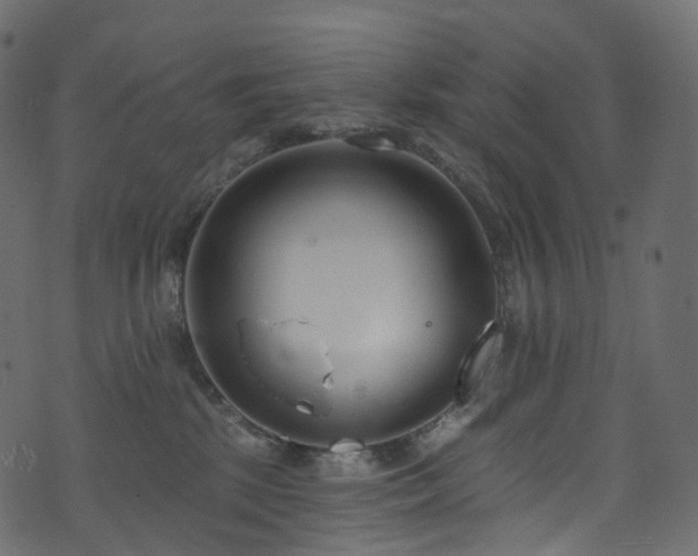 X0000074240281200608251146