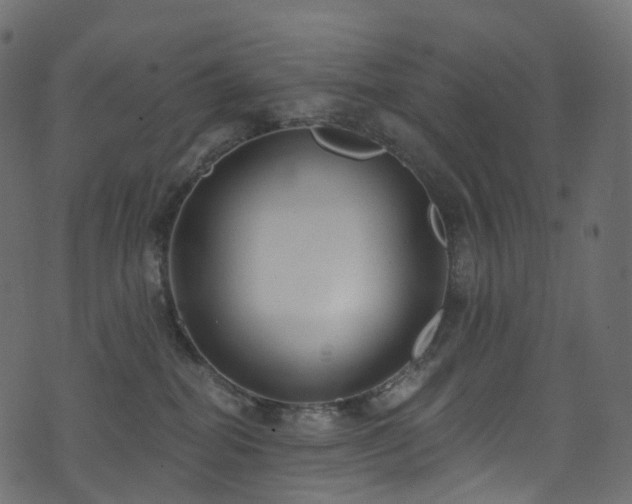 X0000074240282200608251146