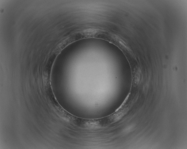 X0000074240283200608251146