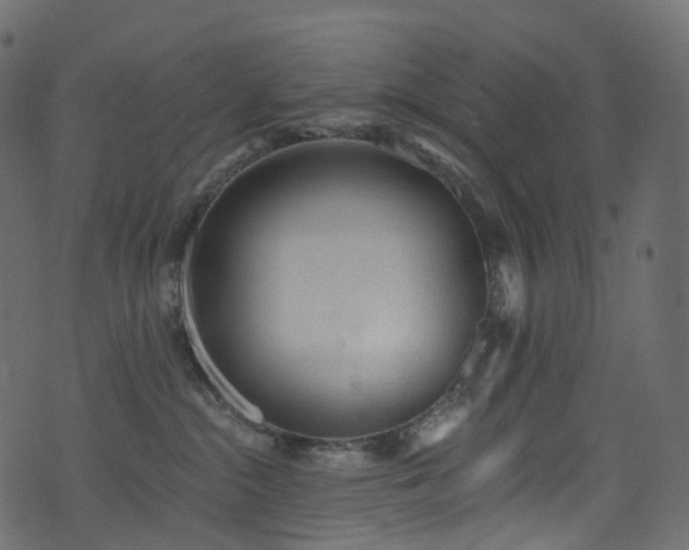 X0000074240284200608251146