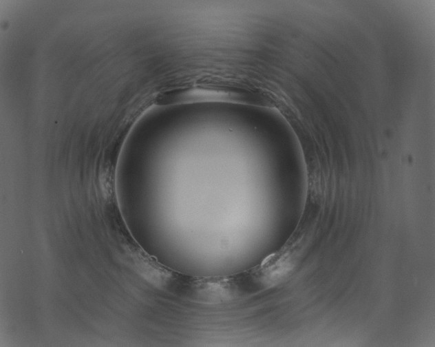 X0000074240285200608251146