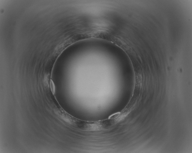 X0000074240286200608251146