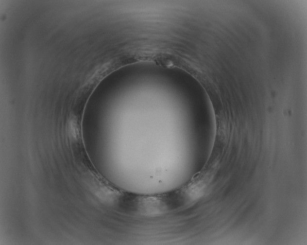 X0000074240287200608251146