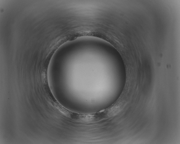 X0000074240288200608251146