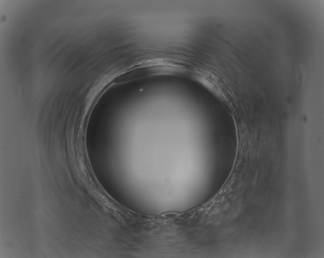 X0000074240289200608251145